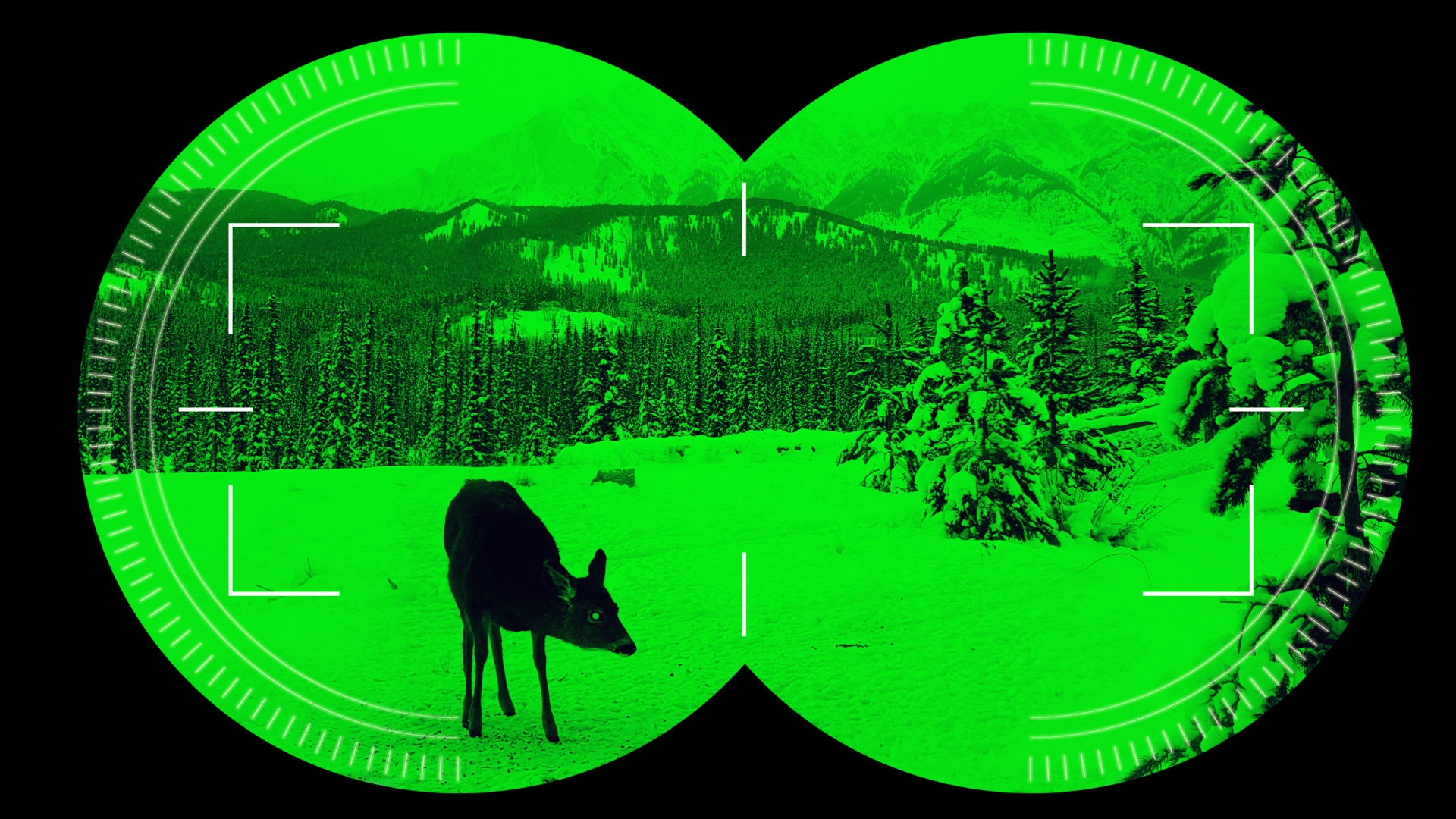 night vision thermal imaging binocular looking at deer on mountain