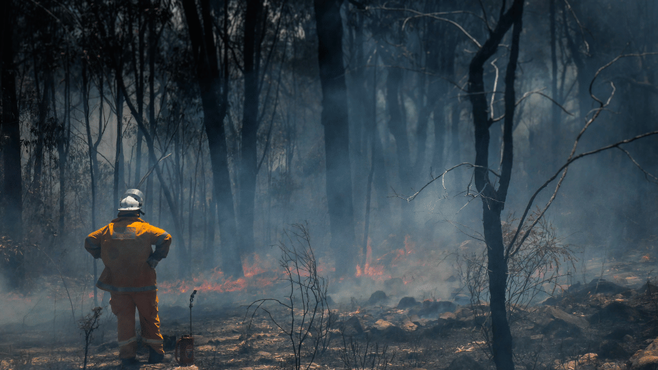 australian rural fire fighter assesses damage