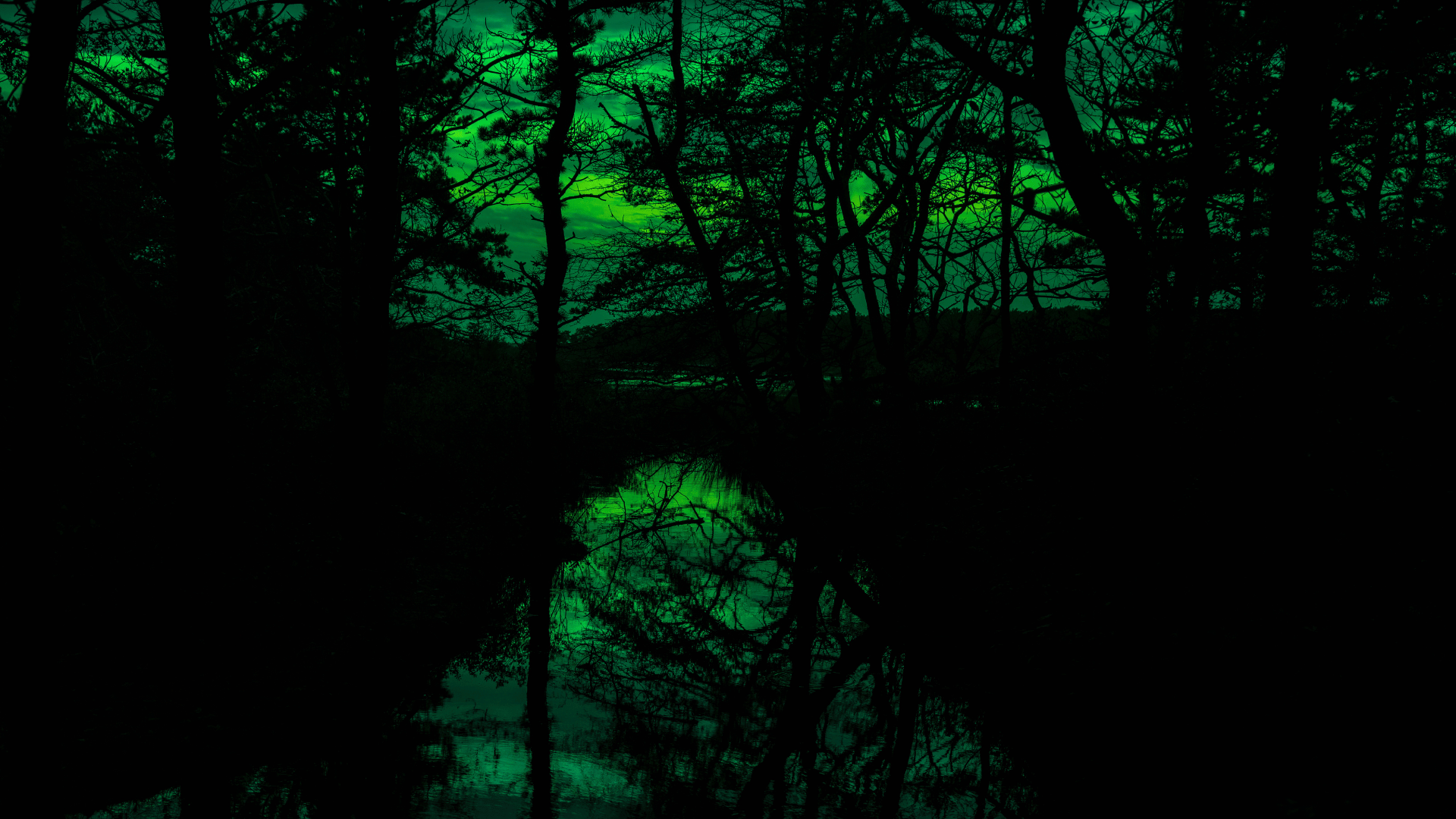 night vision view of pond